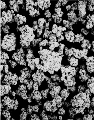 MediSAP view through microscope